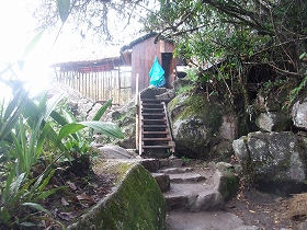 AA