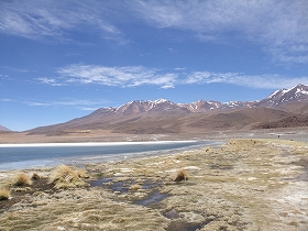 LAGUNA CANAPAP