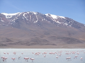 LAGUNA HEDIONDA