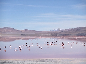 LAGUNA COLORADA2-1