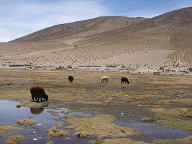 VALLE DE ROCAS