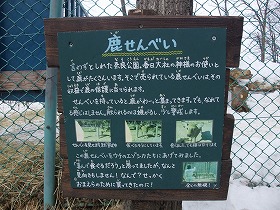 エゾシカの檻の前