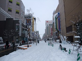 雪の買物公園