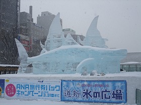 南の海の仲間たち