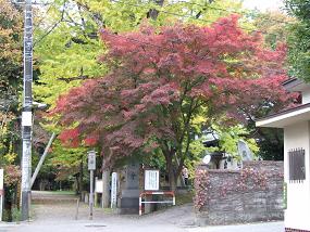 十日寺