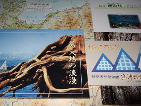 魚津埋没林