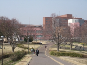 1学全景