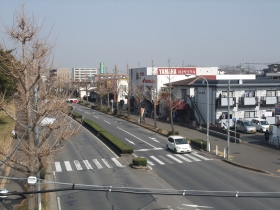 橋の上から