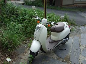 レンタルした原付