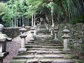 百雁木