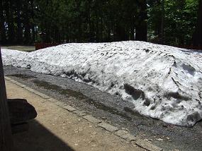 残雪