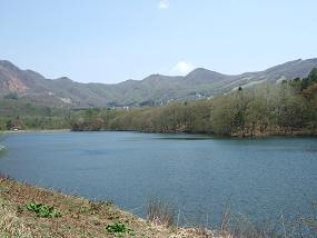 沼の風景